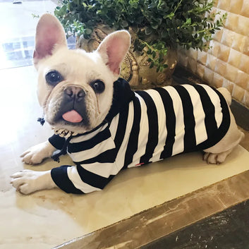 New Fat Dog Clothes Puppy Clothing French Bulldogs Small Dogs Hoodies Fashion Coat For Pet Striped Hoodie For Puppy  Cat Clothes