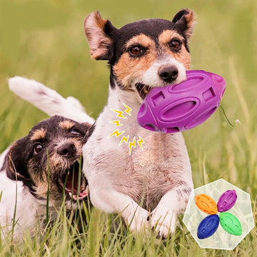 Dog Bite-resistant Teething Puppies Puppy Sounding Ball Pet Toy Oral Cleaning Care Toy For Pets Chewing Exercise Molar Toys