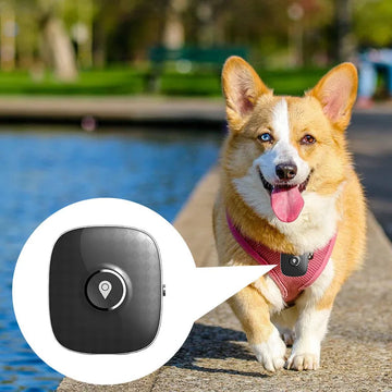 4G Dog GPS Tracker Waterproof Pet Cat Anti-lost Location Tracking Mini Smart Collar GPS Device With Electric Fence