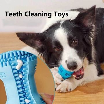 Dog ToothBrush Rubber Chew Toy Molar Tooth Cleaning Brush Stick pet Dental Care interactive Toys Medium Large Giant Dog Supplies