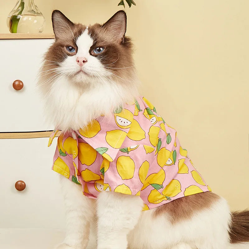 Pet Clothing Summer New Cat Clothes Cute Dog Shirt Orange Fruit Print Cardigan Pet Supplies Cat Clothes Pet  Kitten Clothes Pet