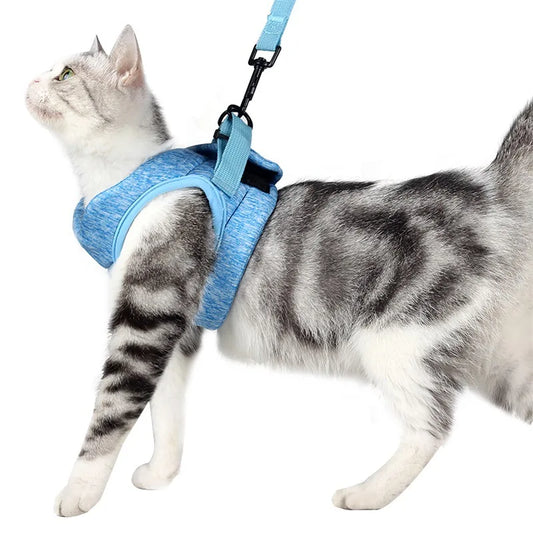 Fashion Cat Harness Leash Comfortable Kitten Chest Strap Adjustable Collar Leads Sets For Little Small Pet Cats(1.5-6KG)