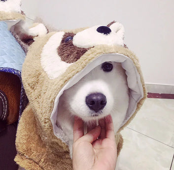 Wholesale Clothing For Labrador Bear Cute Soft Winter Warm Vest Hoodie Coat For Large Big XXXL XXXXL XXXXXL Pets Animals Goods