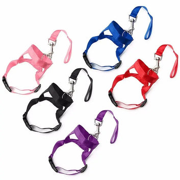 Durable Pet Dog Nylon Head Collar Gentle Halter Leash Leader No Pull Bite Straps Pet Training Leash for Small Meidum Large Dog