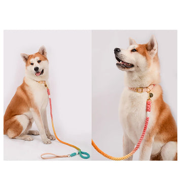 Dog Leash Round Cotton Dogs Lead Rope Colorful Pet Long Leashes Belt Outdoor Dog Walking Training Leads Ropes