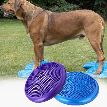 Cenine Dog Pet Exercise Balance Rehabilitation Training Fitness Air Cushion Care Massage Recover Anti Aging Round Ball Supplies