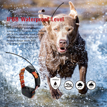 Waterproof dog gps tracker collar with training for hunting Without sim card Pet Gps Trackers For Pets