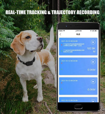 Waterproof Location Activity Tracker Mini GPS Dogs Tracking GPS Travel Dog Pet Collar Finder Pet Dog GPS Tracker