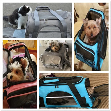 Car Travel Carrier Bags Seat Cat Cage Approved Pet Portable Backpack Small Carriers Airplane Bag Breathable Dog