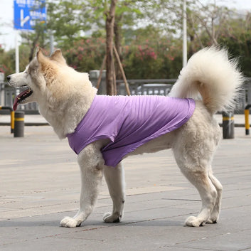 Golden Hair Dogfighting Clothes Tank Top Cotton Dog Cat Clothing Medium Size Dog and Large Dog Pet Supplies Vest Training Dog