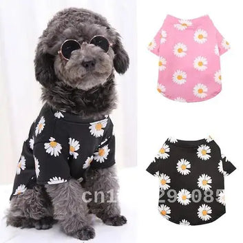 Short Sleeve T-Shirt for Small and Medium Dogs, Pet Clothes, Puppy Vest, Travel Printed, Spring and Summer, New Style