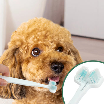 Dog Dental Toothbrush 2-Sided Plastic Pet Toothbrush Cat Teeth Brush For Puppy Teeth Care Dog Cat Cleaning Toothbrushes For Dogs