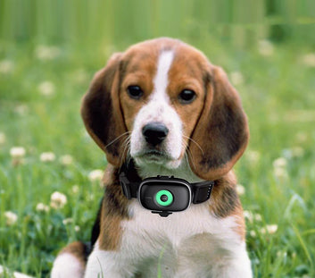 Pet Tracker Waterproof Mini Gps Tracker Positioning Smart Lighting