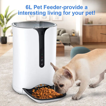 Tuya APP 6L Large Capacity Pet Feeder Smart Automatic Food Distribution With Timing Quantitative WIFI HD Camera For Cat Dog Bowl